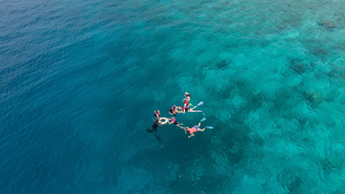 Groupe de passagers en séance de snorkeling en eaux tropicales