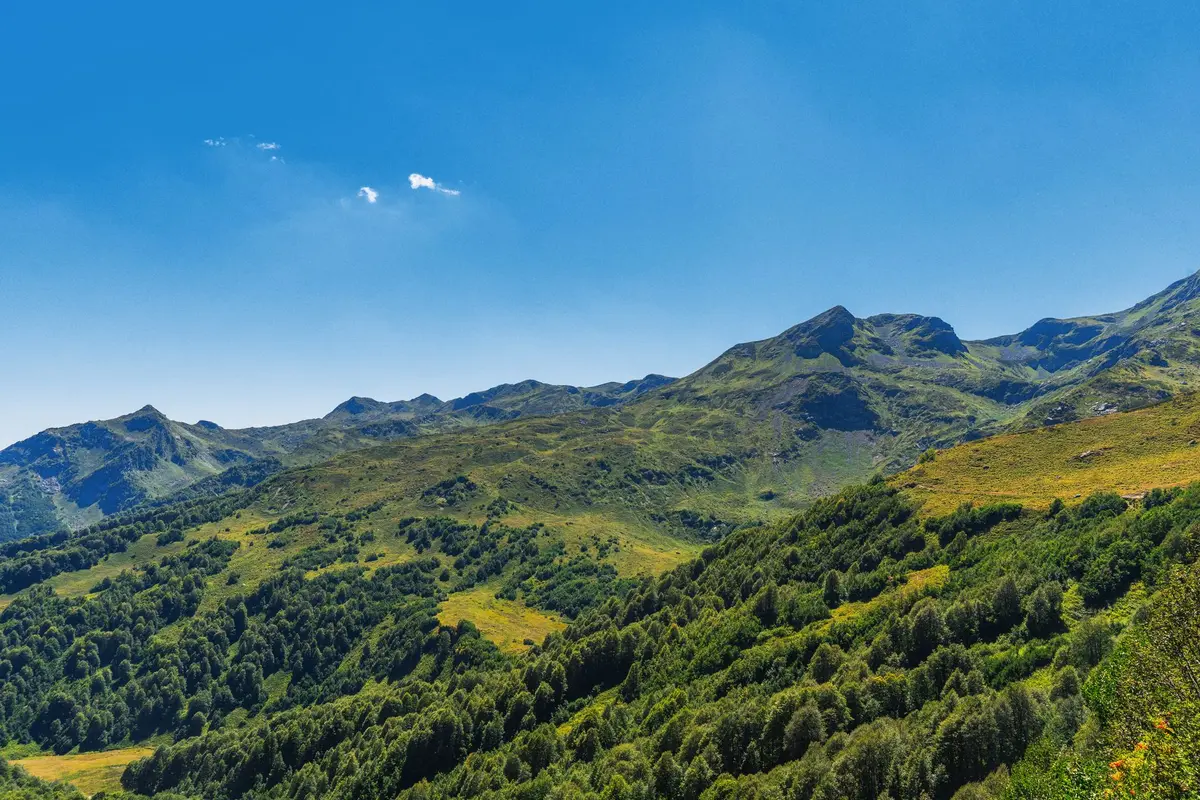 Transition entre zones de végétation du Kilimandjaro : forêt tropicale, landes alpines et zones glaciaires.