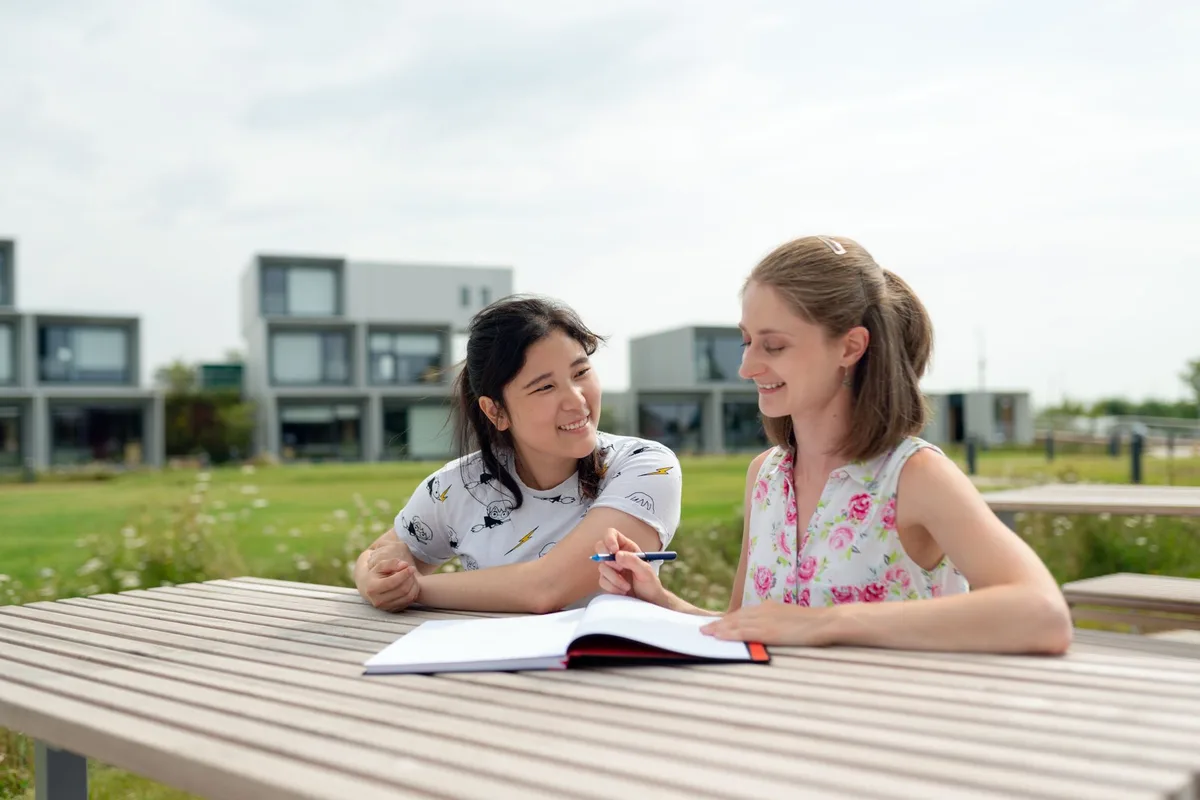 Jeunes élèves en session d'apprentissage informelle en plein air avec un tuteur