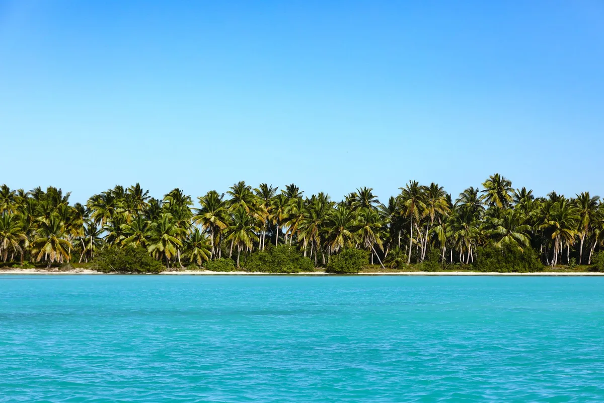 Île tropicale avec plage de sable blanc et palmiers en bord de mer
