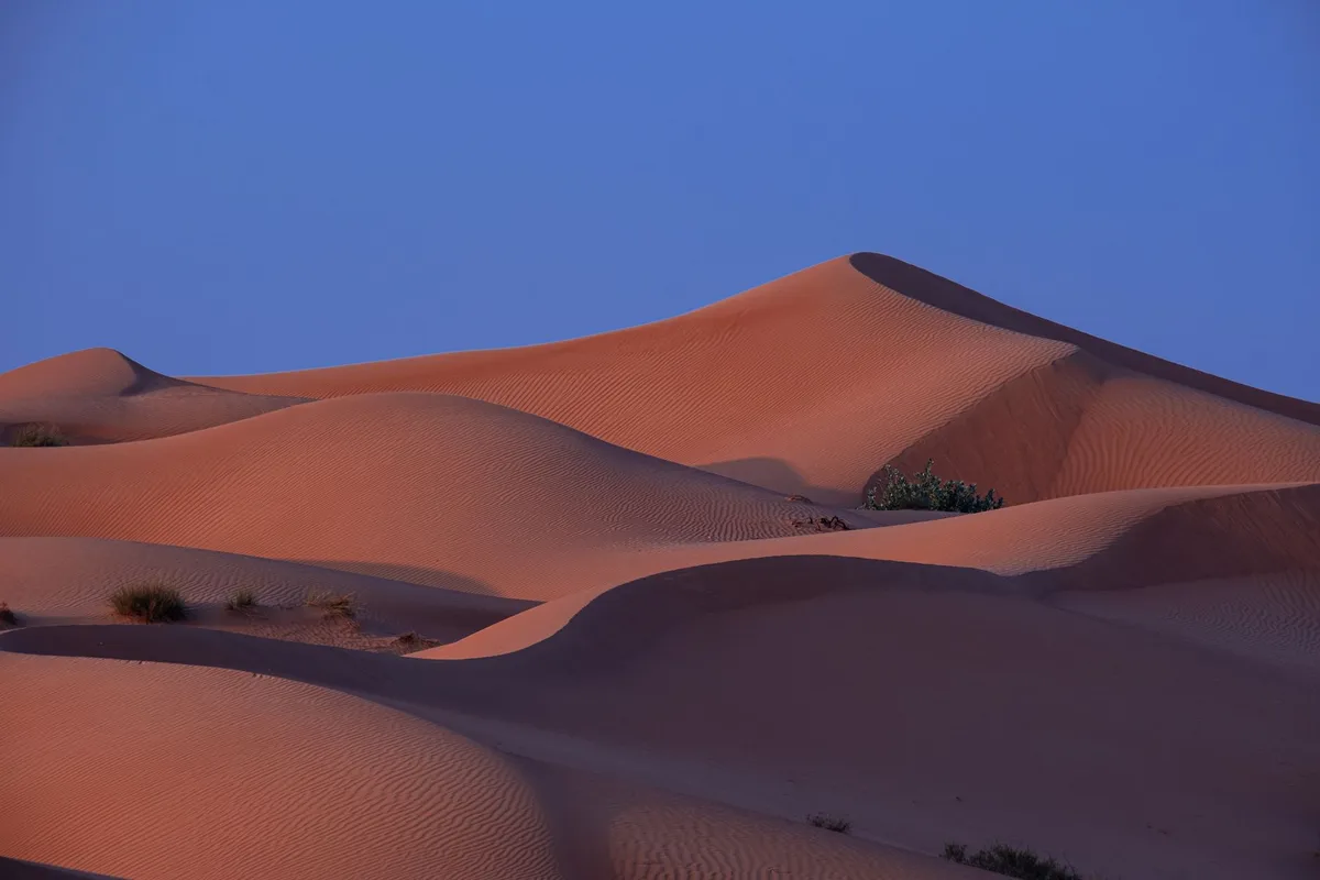 Dunes de sable rouge sous un ciel doré au lever du soleil dans un désert africain