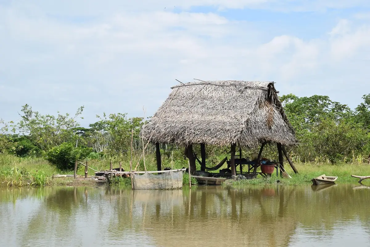 Excursion en bateau dans la forêt amazonienne avec observation de la faune