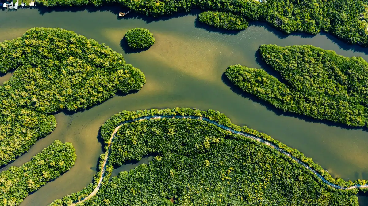 Vue aérienne d'une île tropicale entourée de mangroves et de réserve naturelle