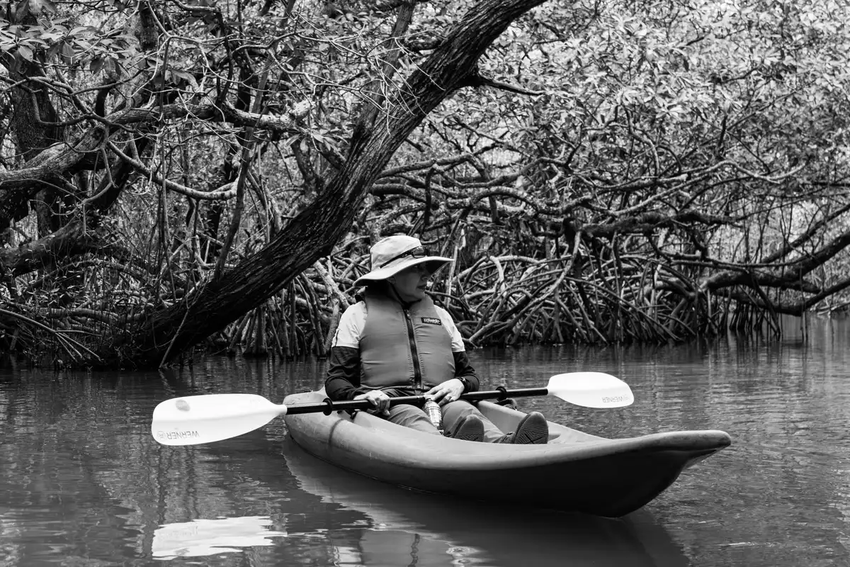 Excursion en kayak dans les mangroves avec guide touristique
