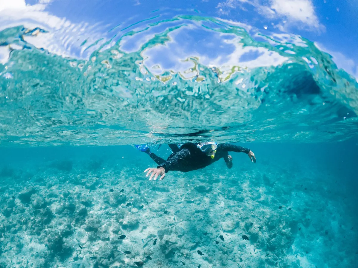 Plongeur explorant un récif corallien dans une lagune tropicale claire