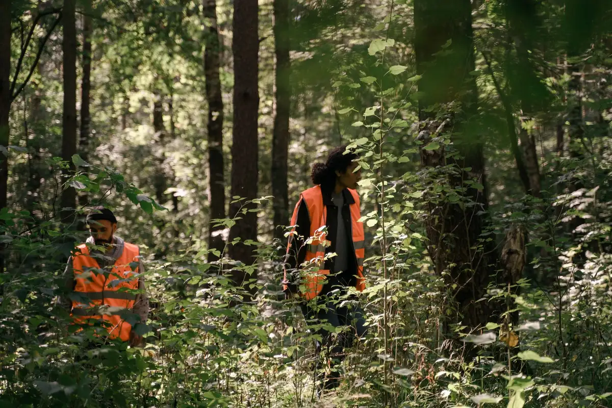 Forêt dense et corridors de biodiversité protégés au Bhoutan
