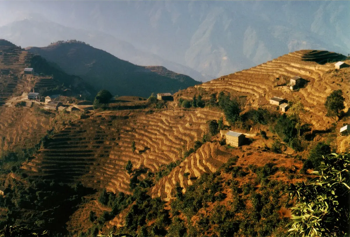 Champs en terrasses et villages bhoutanais dans les montagnes