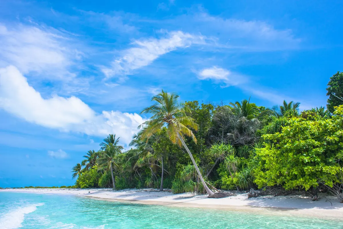 Plage de sable blanc immaculée sous le soleil avec eaux cristallines.