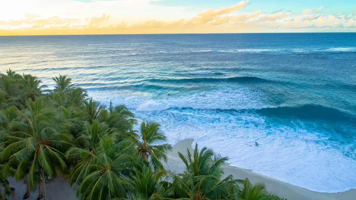 Plage de la côte ouest des Fidji avec coucher de soleil et palmiers
