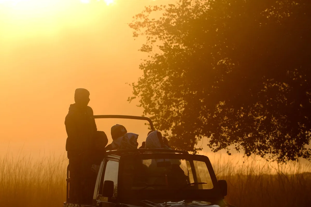Véhicule de safari observant les animaux sauvages au lever du soleil dans la savane