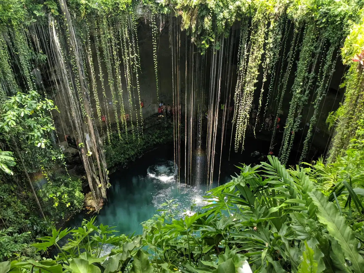 Eau cristalline d'un cenote entouré de végétation tropicale