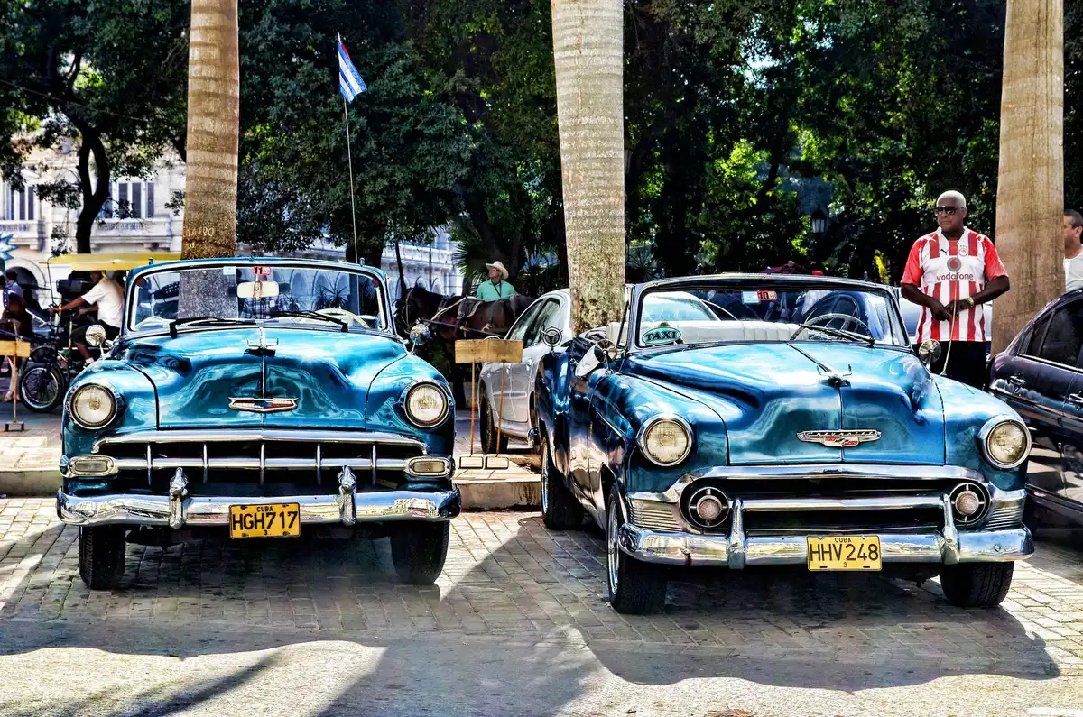 Comptoir de location de voiture dans un environnement tropical