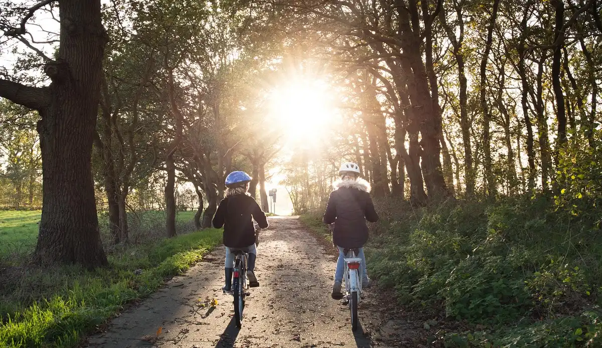 Personne à vélo en libre-service sur un chemin de parc