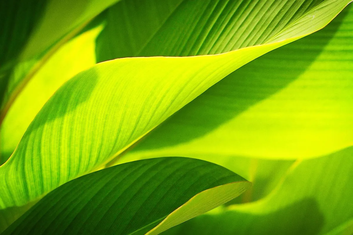 Écolodge montrant récupération d'eau et panneaux solaires