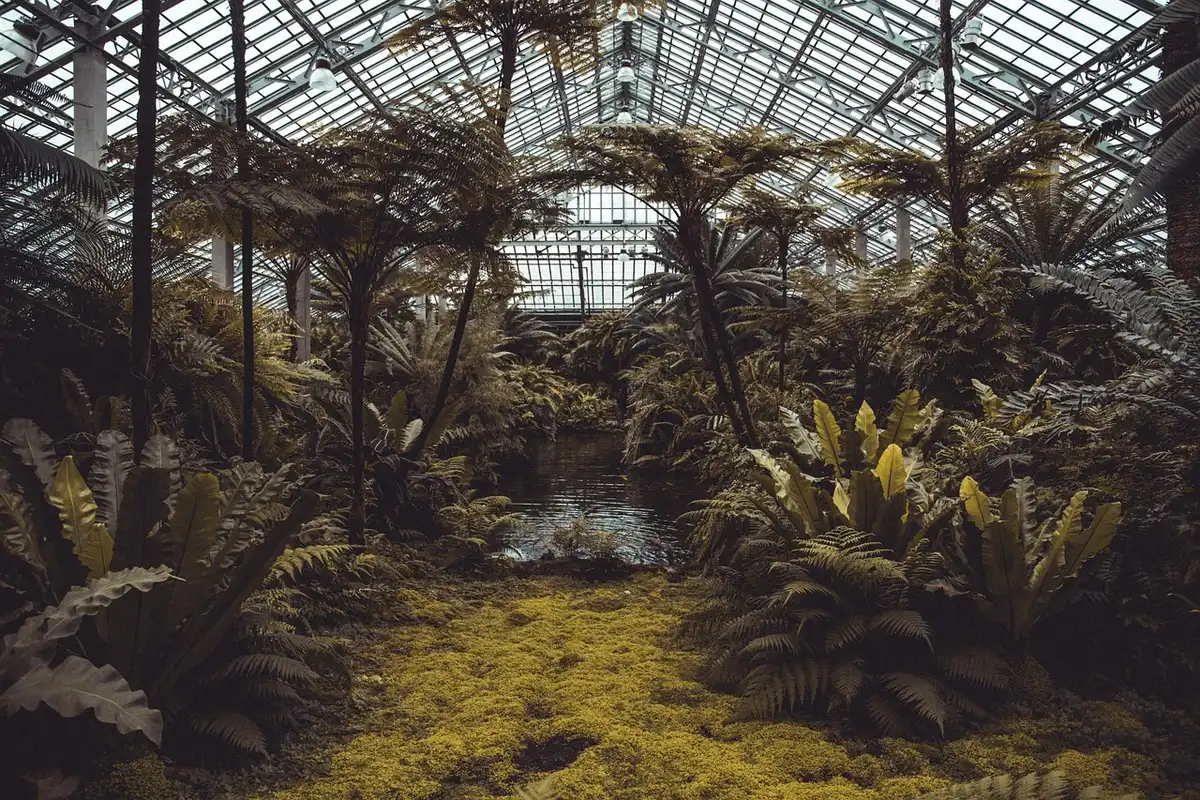 Écolodge côtier en bord de mer avec végétation tropicale