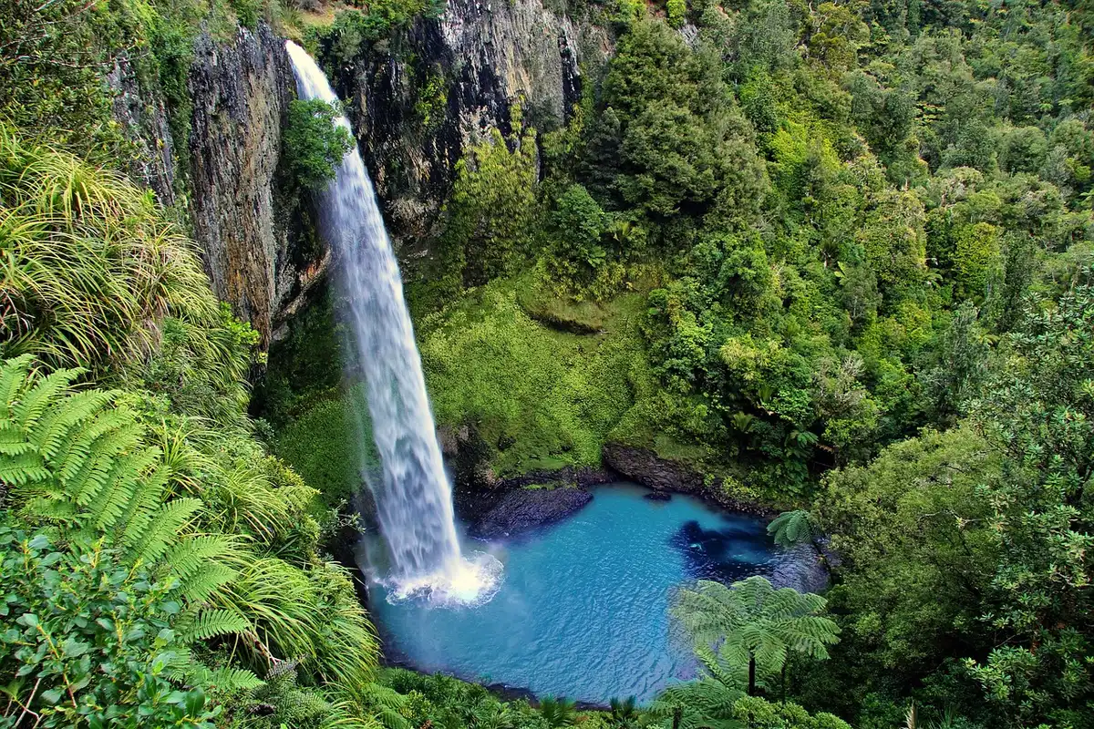 Piscine naturelle au pied d'une cascade entourée de végétation en journée