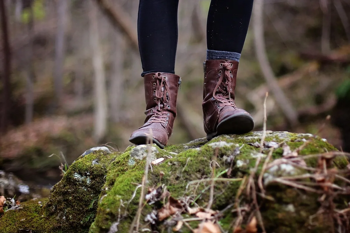 Sentier forestier en jour avec chemin facile adapté aux familles