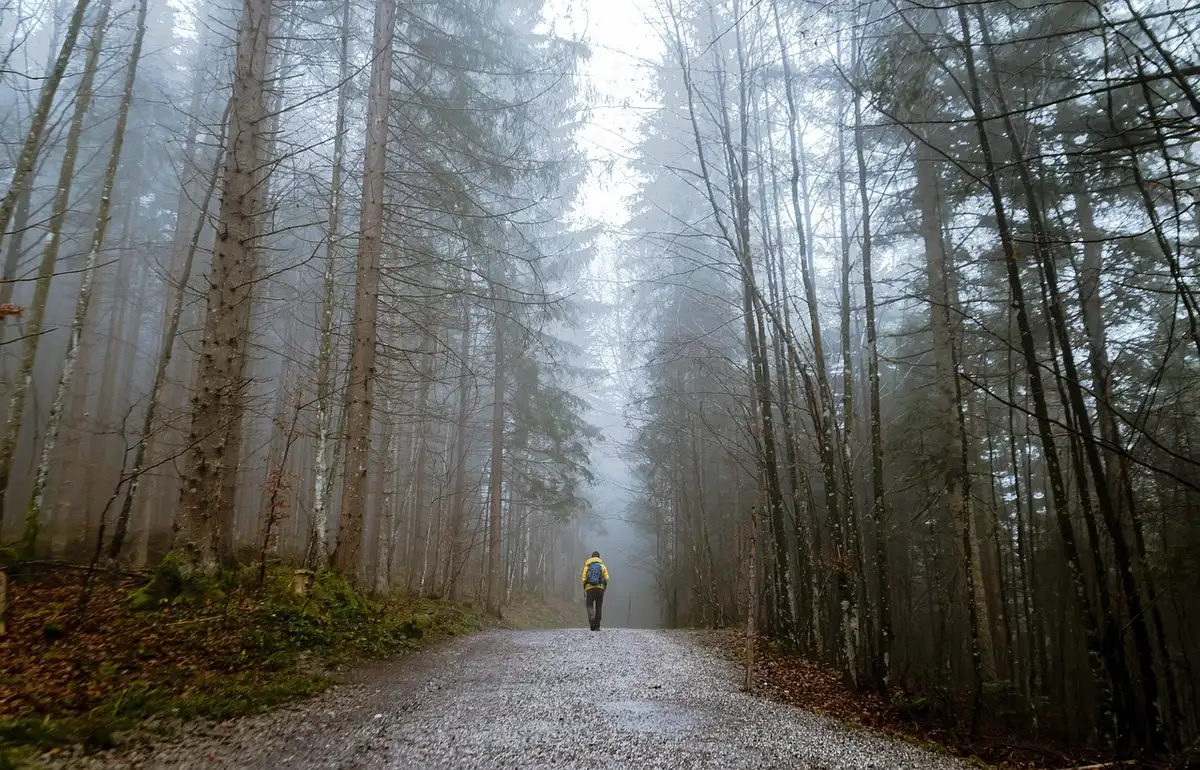 Randonneurs sur le Mist Trail près des chutes Vernal, jour ensoleillé
