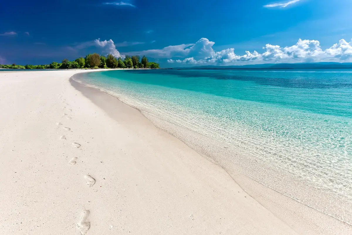 Passagers débarquant pour une excursion sur une plage ensoleillée