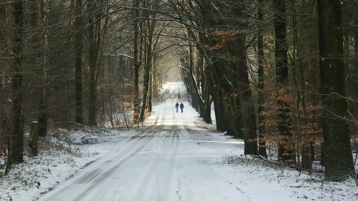 Randonneurs gravissant des switchbacks vers des ruines au sommet