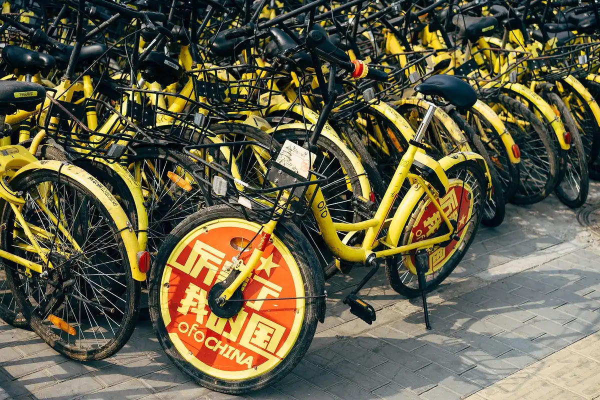 Personne préparant un vélo de location près d'un sentier bordé de palmiers