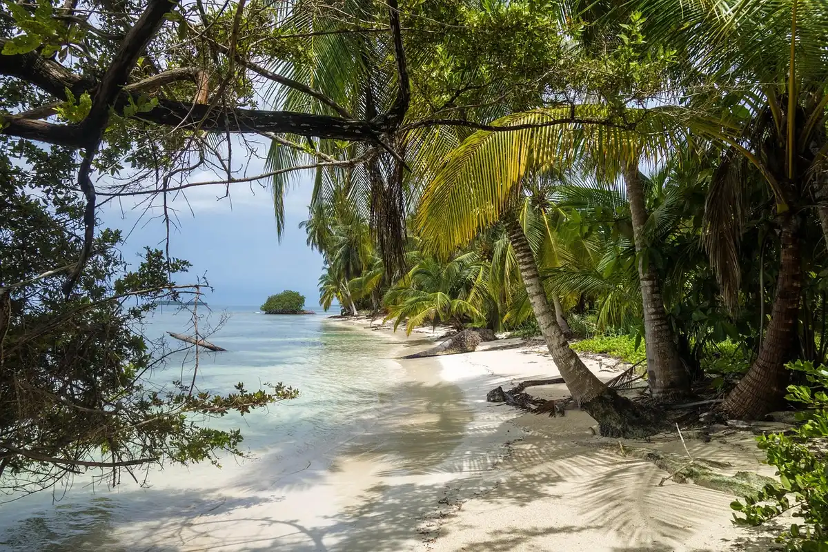 Carte météorologique simplifiée montrant saison sèche et saison humide au Vanuatu