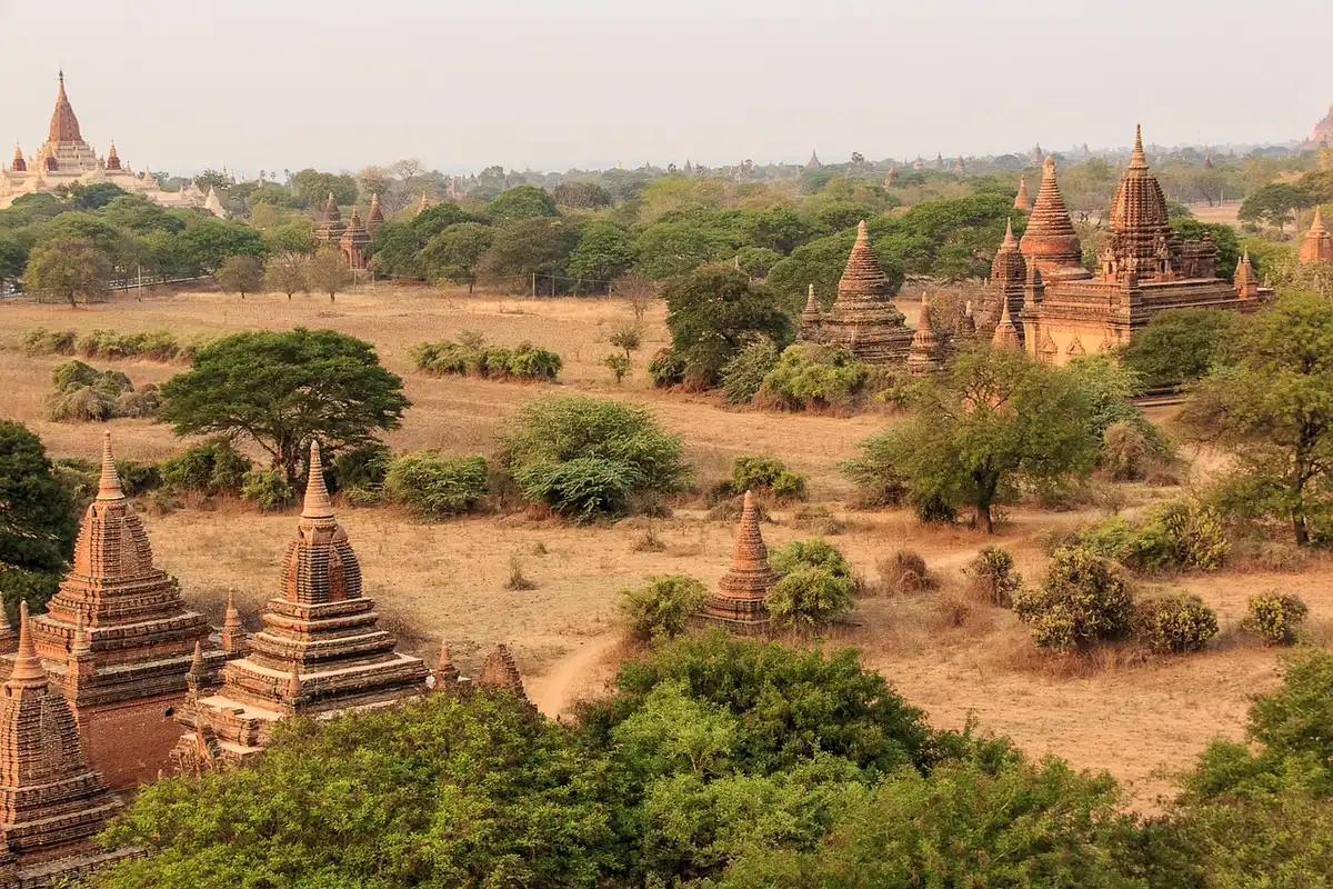 Regroupement de temples vus d'un léger plan élevé avec sentiers entre eux