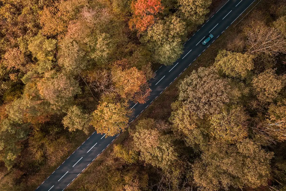 Route côtière le long d’un fjord avec voiture et points de vue